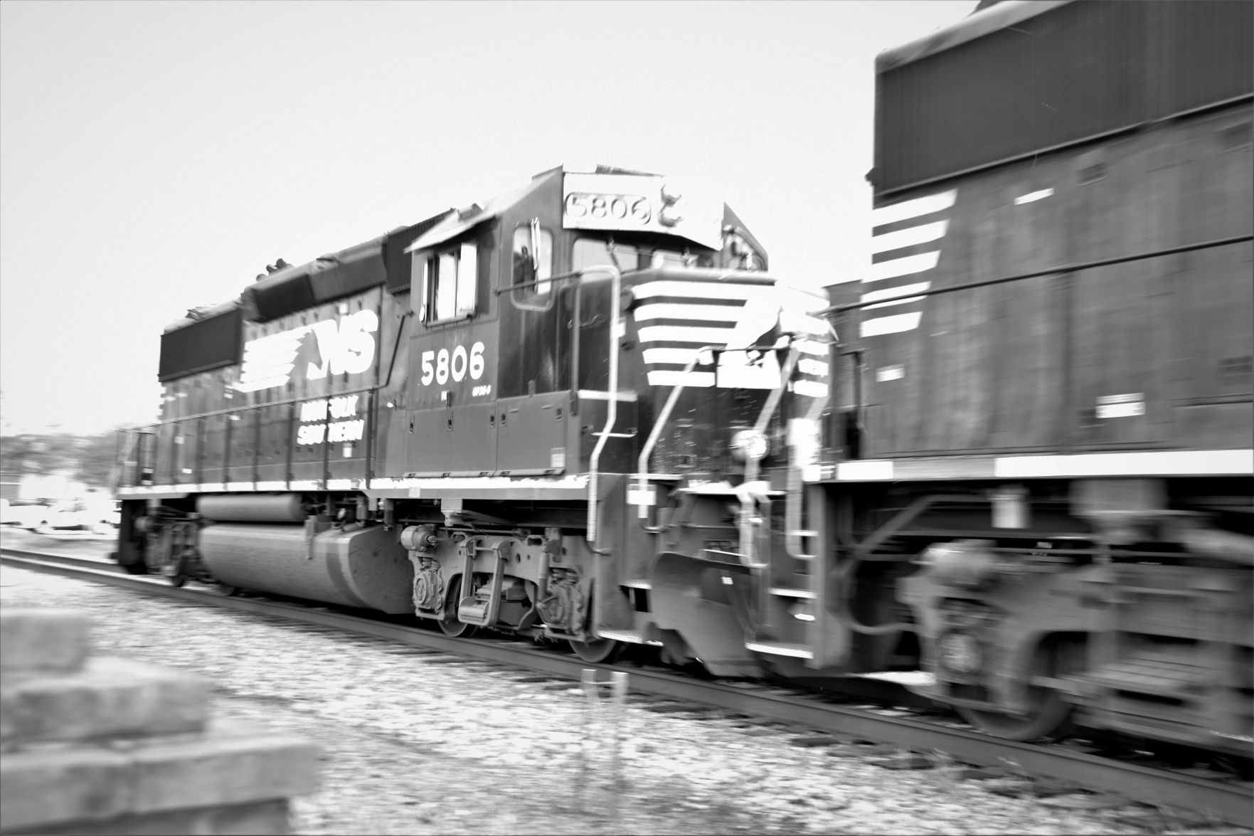 Hoppin March 20 (57).JPG